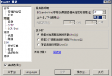 WinSCP上传文件乱码-小叶白龙博客