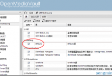 OpenMediaVault插件之btsync教程-小叶白龙博客