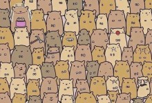 这些图已经逼“疯”了一亿人!不信你试试-小叶白龙博客